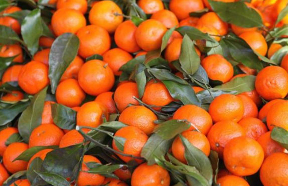 ɰ����